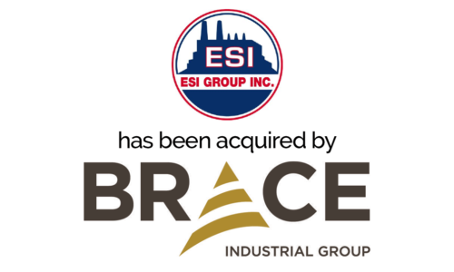ESI Group, Inc.