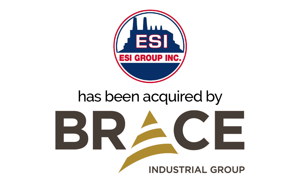 ESI Group, Inc. Washington Partners